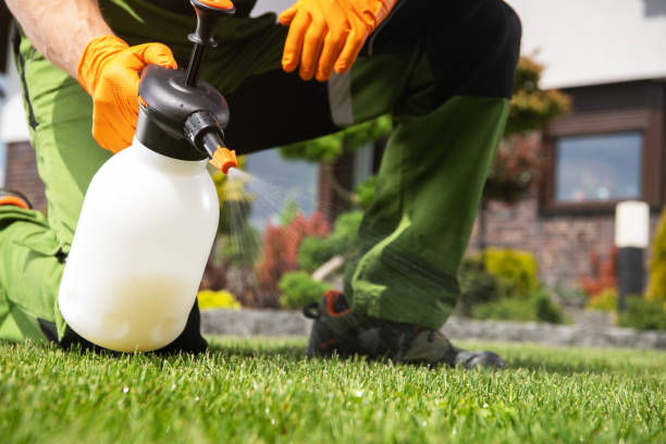 Best Pest Control Near Me  in Sykesville, MD