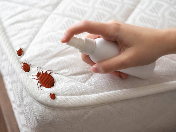 Pest Control for Restaurants in Sykesville, MD