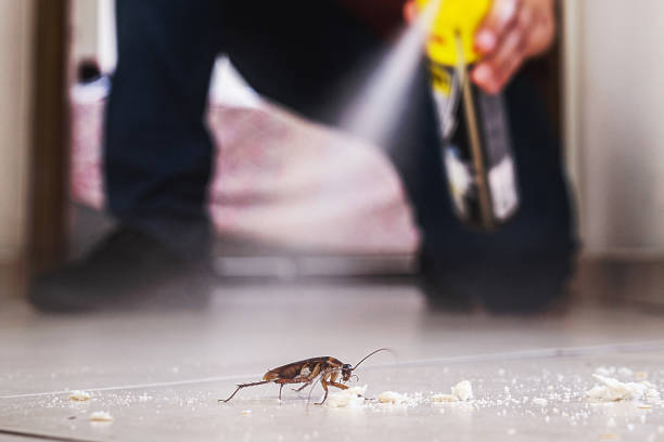 Best Affordable Pest Control Services  in Sykesville, MD