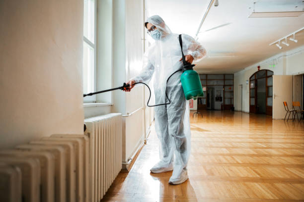 Flea Control Services in Sykesville, MD