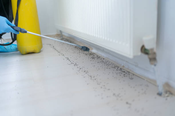 Best Emergency Pest Control  in Sykesville, MD