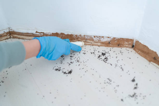 Best Best Pest Control Companies  in Sykesville, MD