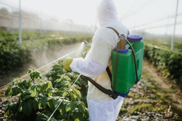 Best Exterminator Services  in Sykesville, MD